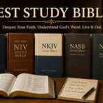 Best Study Bibles