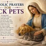 Catholic Prayers for Sick Pets