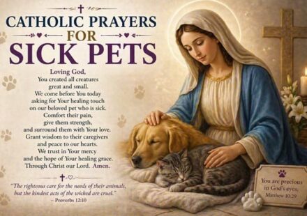 Catholic Prayers for Sick Pets