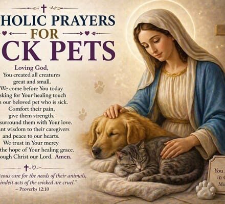 Catholic Prayers for Sick Pets